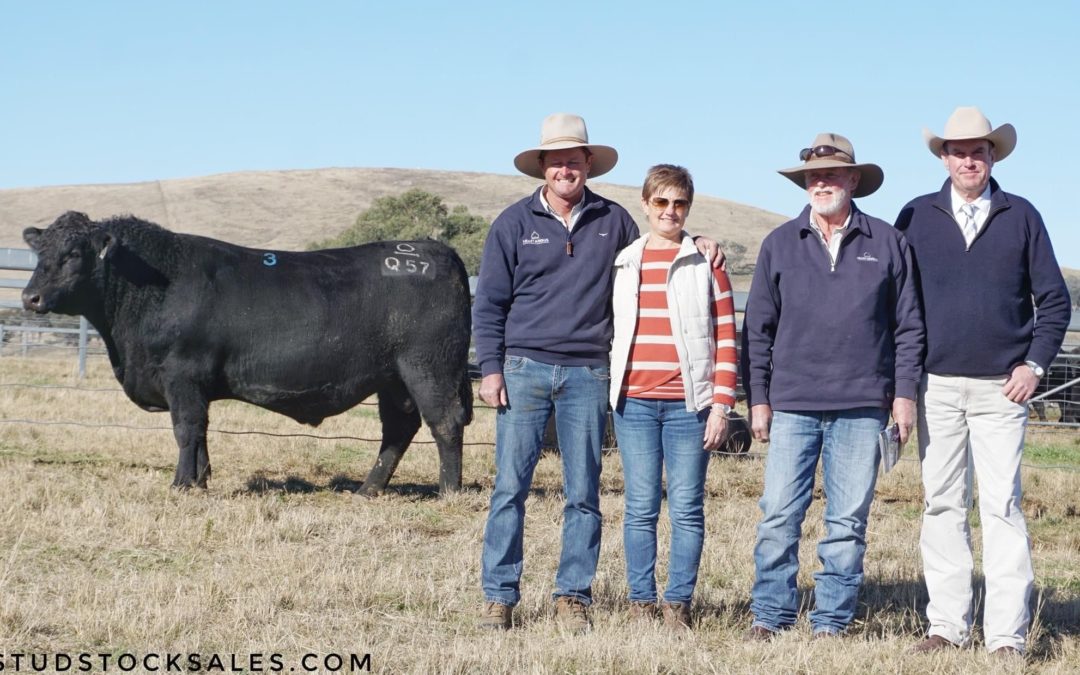 2021 Bull Sale – Overwhelmed, humbled and extremely grateful for everyone’s support ..