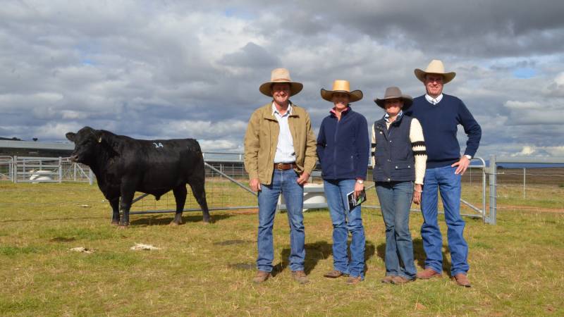 Tamworth Angus Stud hits a sale high of $15,000 at first sale