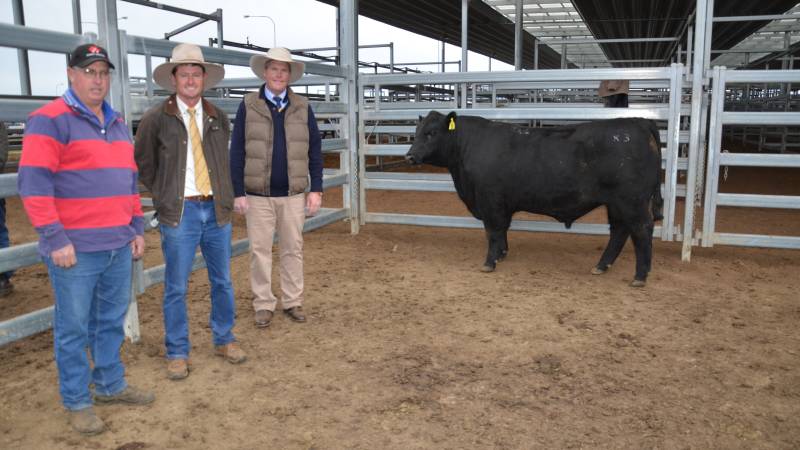 New England Angus Breeders tops at $15,000