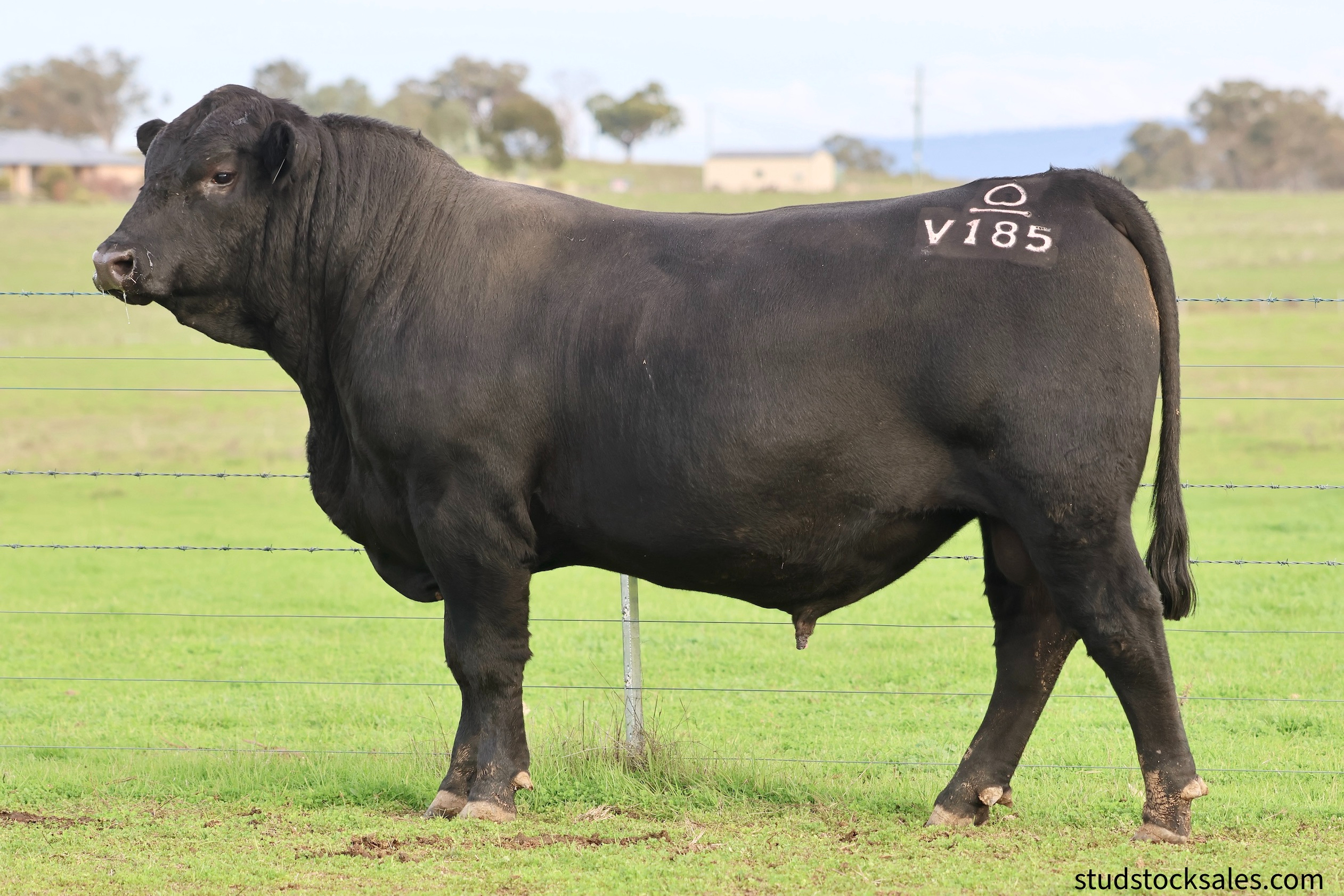 LOT 134A