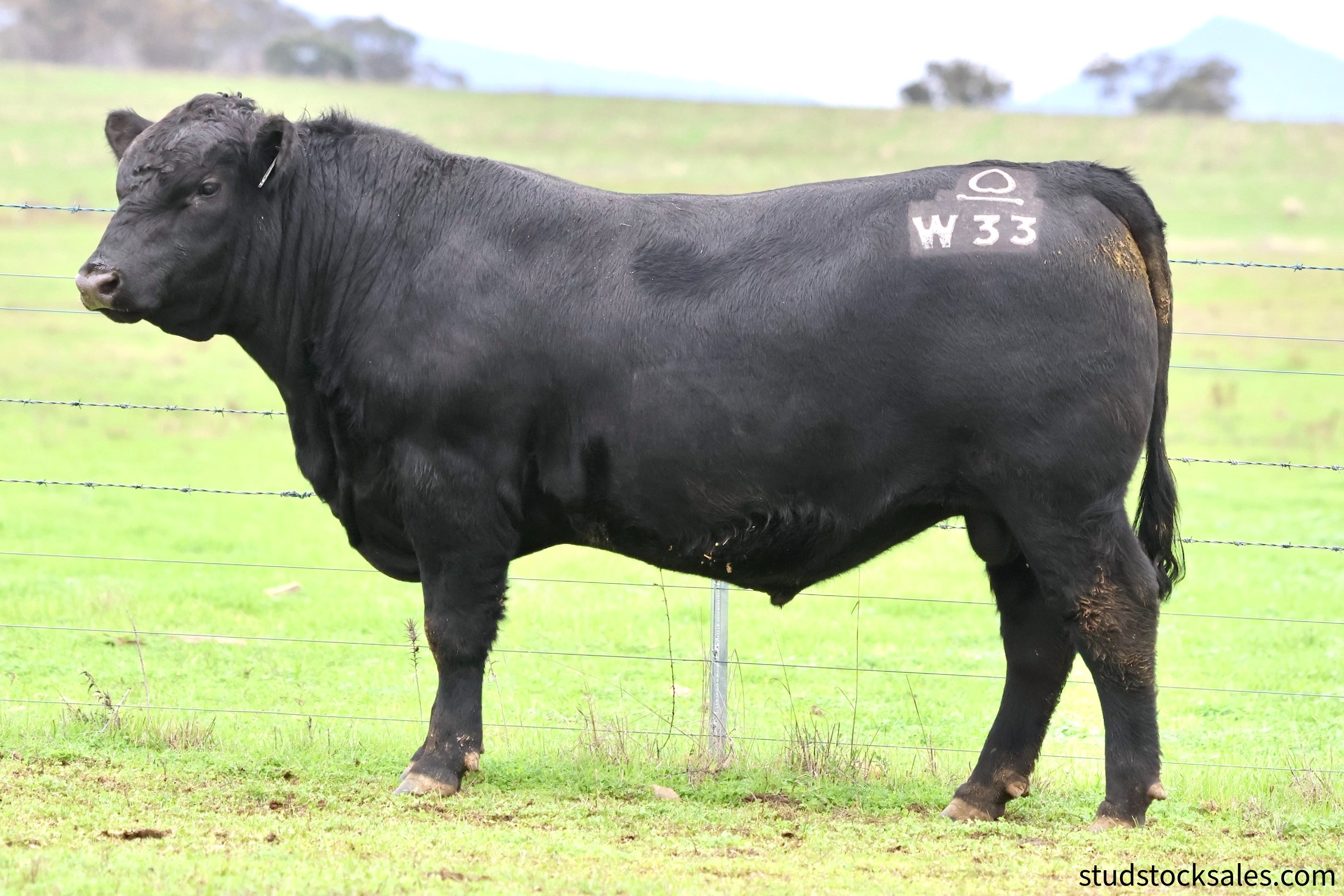 LOT 3B