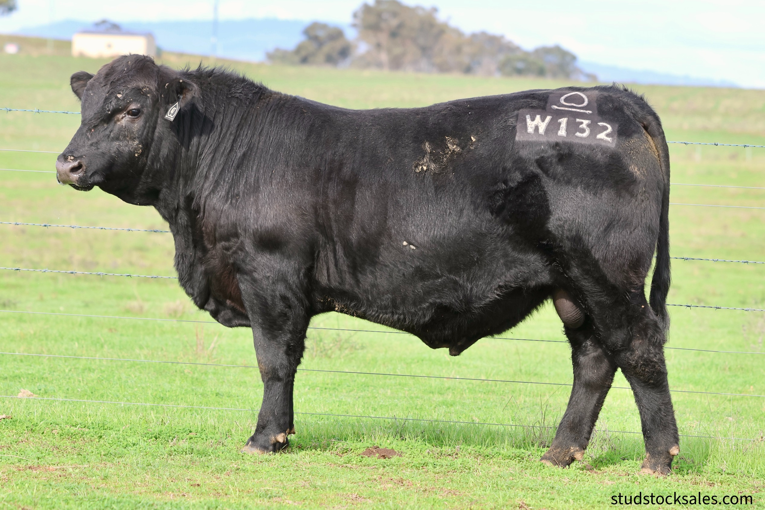 LOT 47