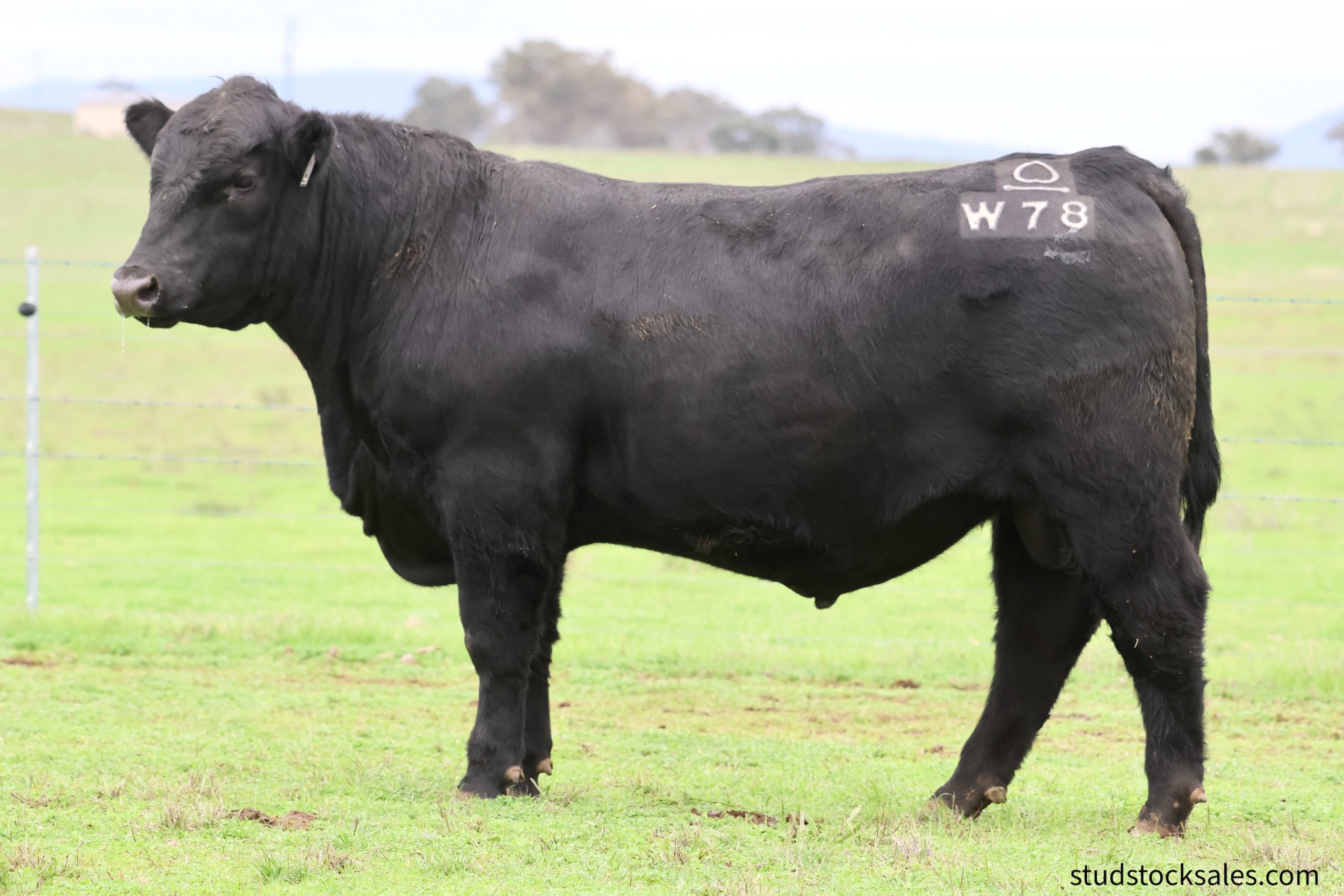 LOT 4A